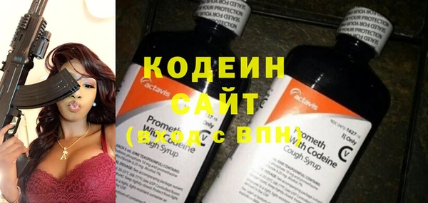 прущий лед Алзамай