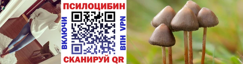 Псилоцибиновые грибы Psilocybine cubensis  Искитим 